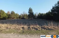 23392/78/OGS - zdjęcie nr 2