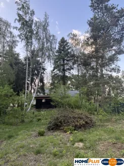 23595/78/OGS - zdjęcie nr 3