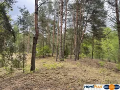 23500/78/OGS - zdjęcie nr 0
