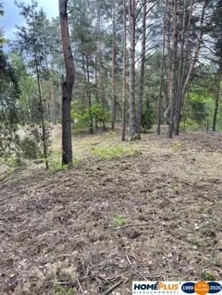 23500/78/OGS - zdjęcie nr 1