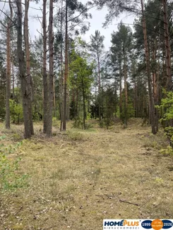 23500/78/OGS - zdjęcie nr 2