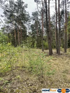 23500/78/OGS - zdjęcie nr 3