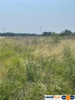 23558/78/OGS - zdjęcie nr 1