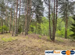 23579/78/OGS - zdjęcie nr 2