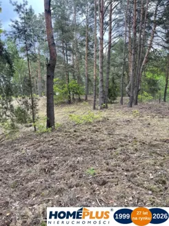 23579/78/OGS - zdjęcie nr 4
