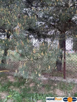 23502/78/OGS - zdjęcie nr 0