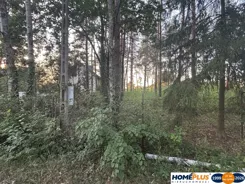 23607/78/OGS - zdjęcie nr 3