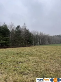 23262/78/OGS - zdjęcie nr 3