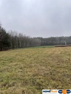 23262/78/OGS - zdjęcie nr 4