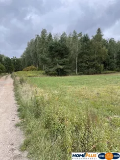 23565/78/OGS - zdjęcie nr 2