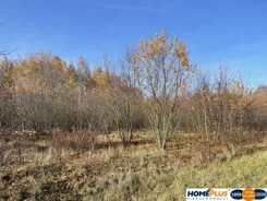 23348/78/OGS - zdjęcie nr 2