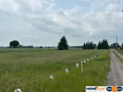 23493/78/OGS - zdjęcie nr 3