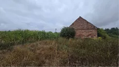 9831/3186/ODS - zdjęcie nr 0