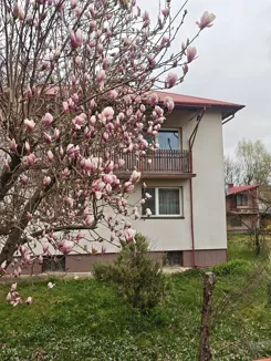 9413/3186/ODS - zdjęcie nr 0