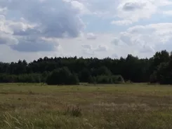 45773/3186/OGS - zdjęcie nr 4