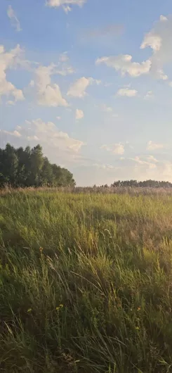 45207/3186/OGS - zdjęcie nr 1