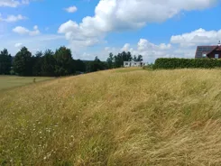 45478/3186/OGS - zdjęcie nr 0