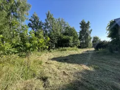 45833/3186/OGS - zdjęcie nr 2