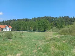 45479/3186/OGS - zdjęcie nr 1