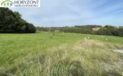 45868/3186/OGS - zdjęcie nr 0