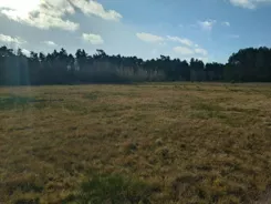 45790/3186/OGS - zdjęcie nr 0