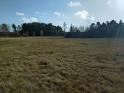 45790/3186/OGS - zdjęcie nr 3