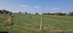 45044/3186/OGS - zdjęcie nr 0