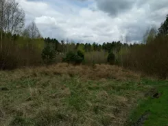 45580/3186/OGS - zdjęcie nr 1
