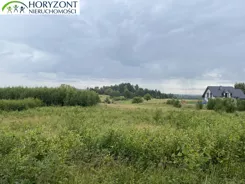 45151/3186/OGS - zdjęcie nr 3