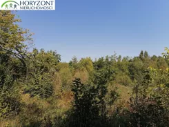 45182/3186/OGS - zdjęcie nr 2