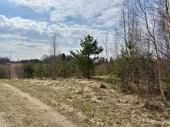 44650/3186/OGS - zdjęcie nr 4