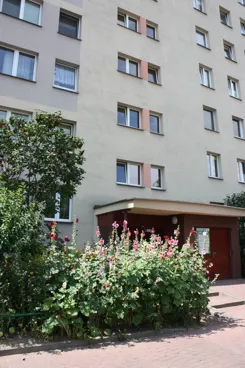 12772/3186/OMS - zdjęcie nr 3
