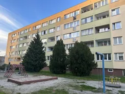 12725/3186/OMS - zdjęcie nr 3