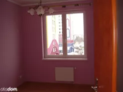 8088911 - zdjęcie nr 4