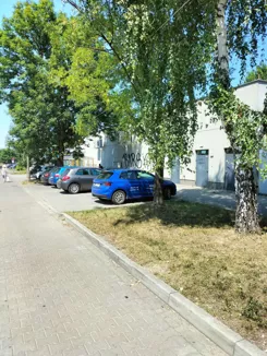 3009 - zdjęcie nr 2