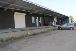 2991 - zdjęcie nr 2