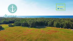 EC442291788 - zdjęcie nr 0