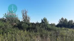 EC458340858 - zdjęcie nr 2