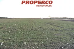 PRP-GS-74721 - zdjęcie nr 3