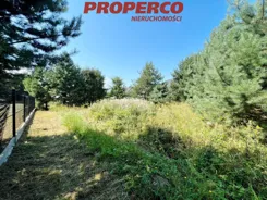 PRP-GS-73677 - zdjęcie nr 3