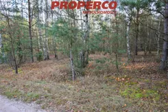 PRP-GS-75889 - zdjęcie nr 0