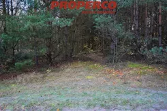 PRP-GS-75889 - zdjęcie nr 1