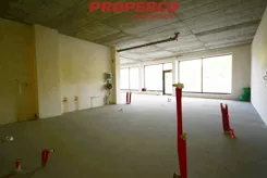 PRP-LS-76557 - zdjęcie nr 3