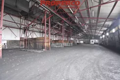 PRP-HW-74767 - zdjęcie nr 1
