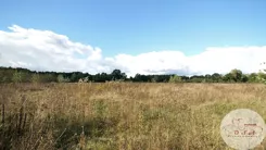 360/4398/OGS - zdjęcie nr 3