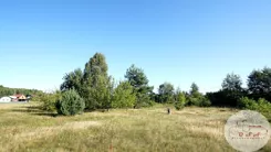 550/4398/OGS - zdjęcie nr 2