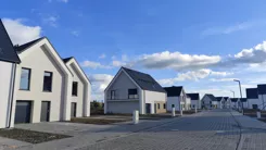 21594 - zdjęcie nr 3
