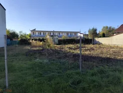 21719 - zdjęcie nr 1