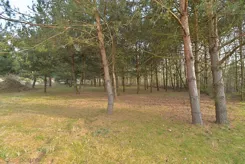 21718 - zdjęcie nr 2