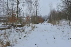 21564 - zdjęcie nr 1